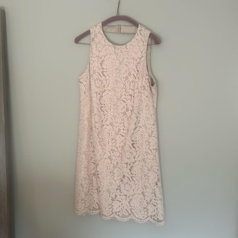 Vince Camuto A-Line Dress - Blush Lace with Nude Lining